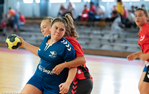 -15F vs Vizille